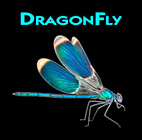 dragonfly-logo