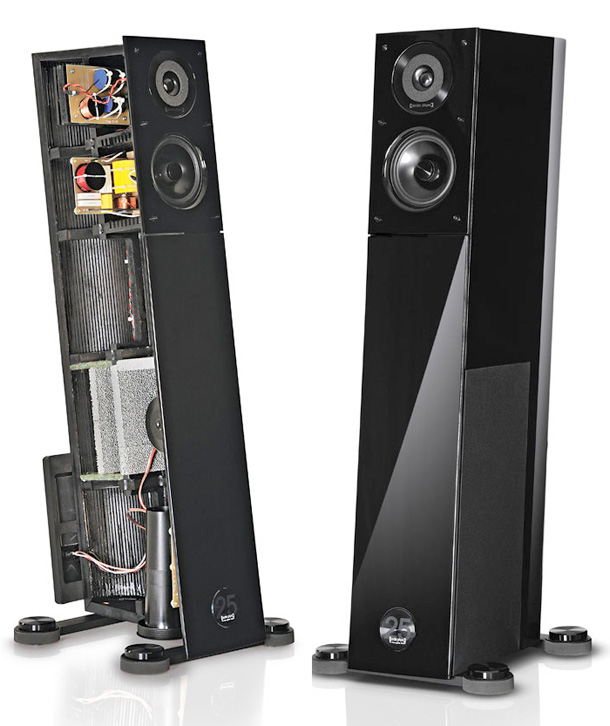 Audio-Physic-Virgo-25-plus-diffusori-interno