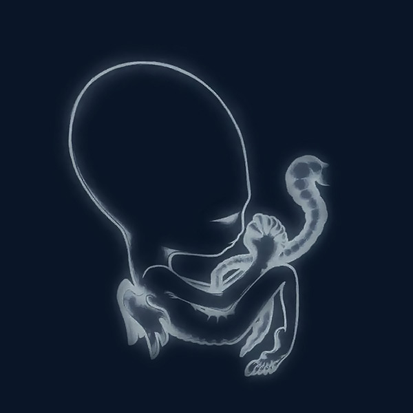 SIGUR-ROS-AGAESTIS-BYRJUN