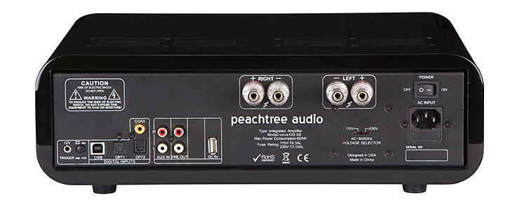 Peachtree Audio Nova 125SE-rear