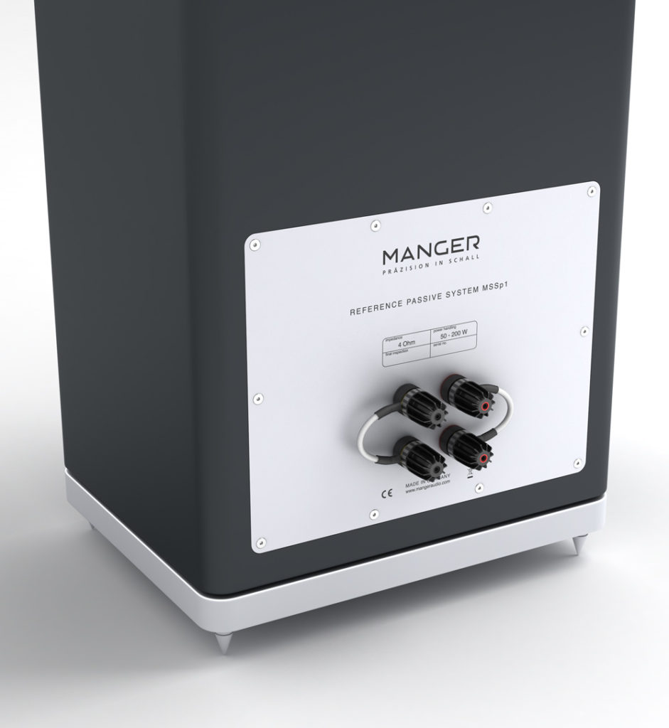Manager Audio P1 rear