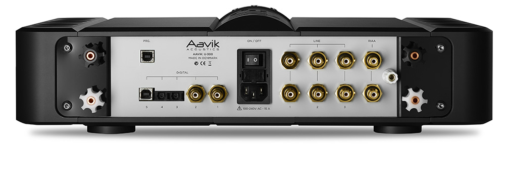 Aavik U-300 Unity rear
