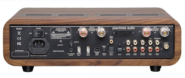 Peachtree Audio nova300 rear