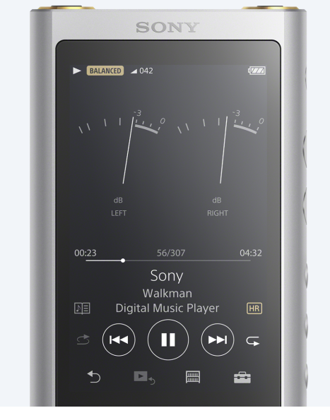 Sony NW-ZX300
