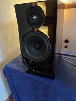 aq acoustic quality passion teen 1