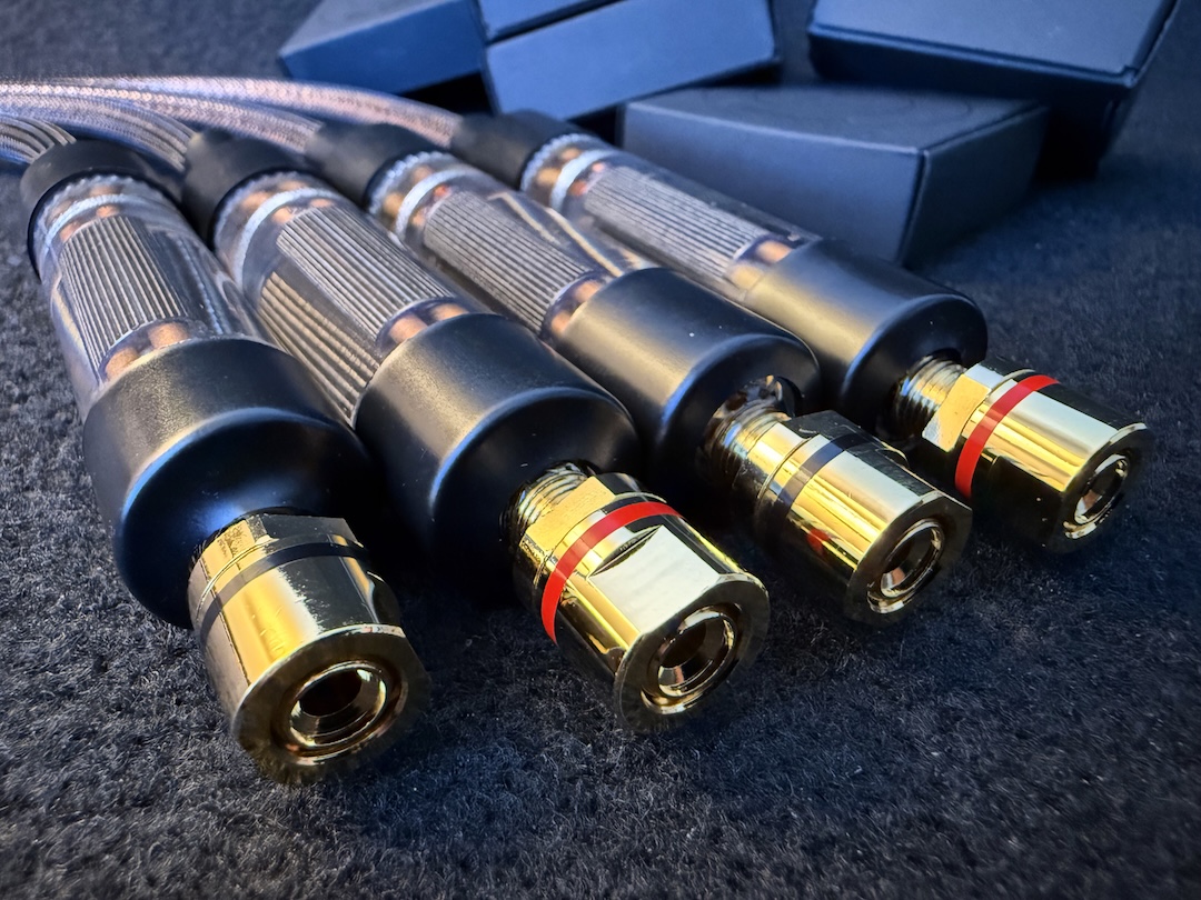 * Test * Recensione: LessLoss Firewall for Loudspeakers Stellar Edition, Skin-Filtering e Struttura DMLS al Servizio del Suono 4 firewall for loudspeakers IMG 2905