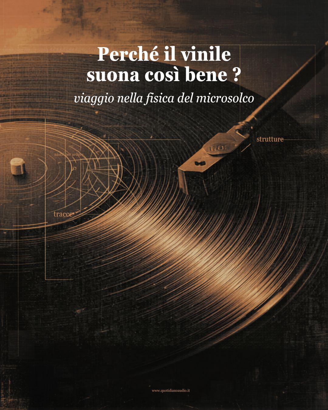 Perche il vinile suona cosi bene